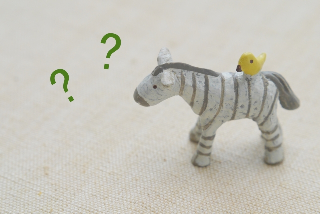 勉強に苦手意識を作らないために