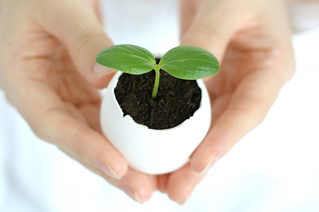 試験で緊張しないメンタルづくり