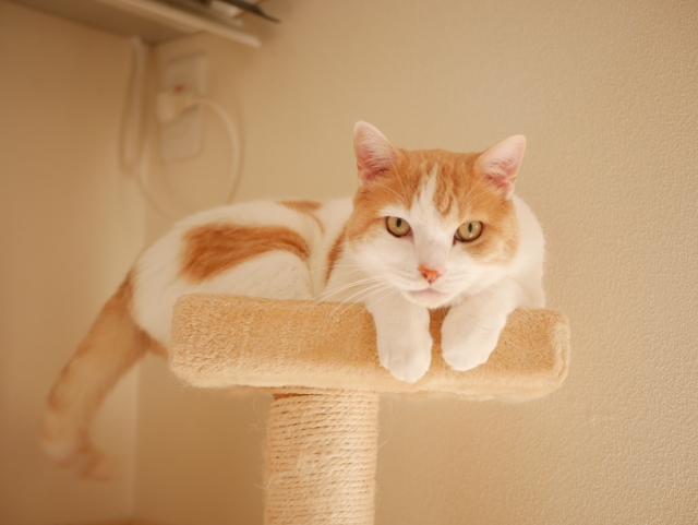 授業中の眠気覚まし