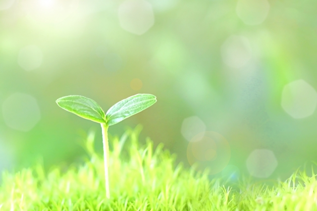 苦手科目は伸びしろ